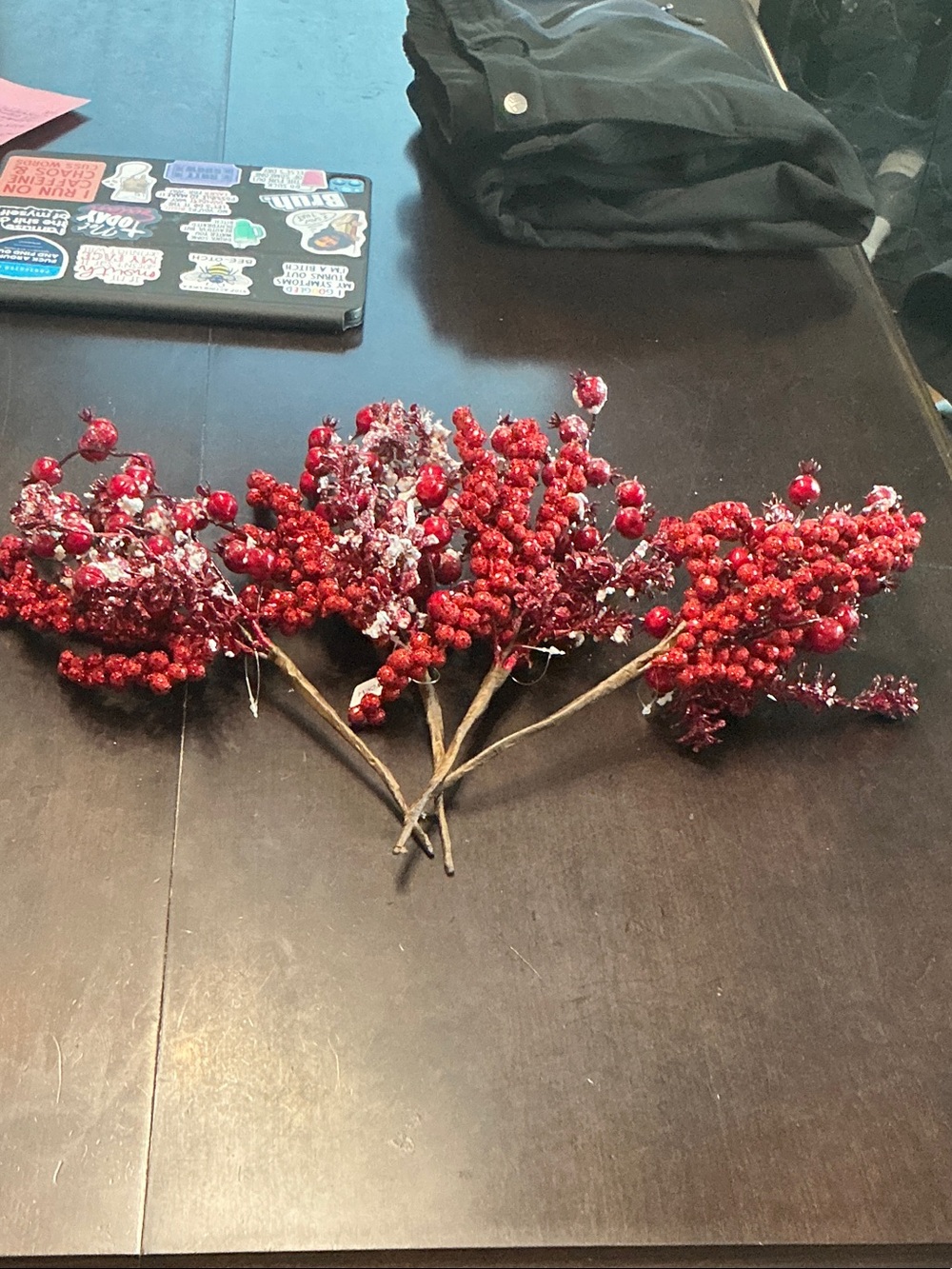 Red Holiday Berry Spray - Festive Decorative Stems - Valerie Parr Hill